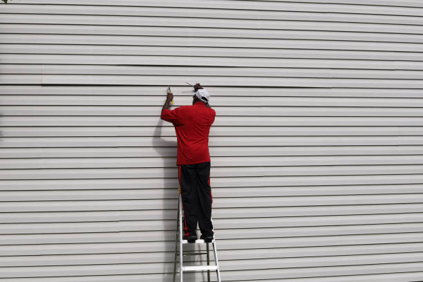 Best Custom Siding Design  in Jeffersonville, IN